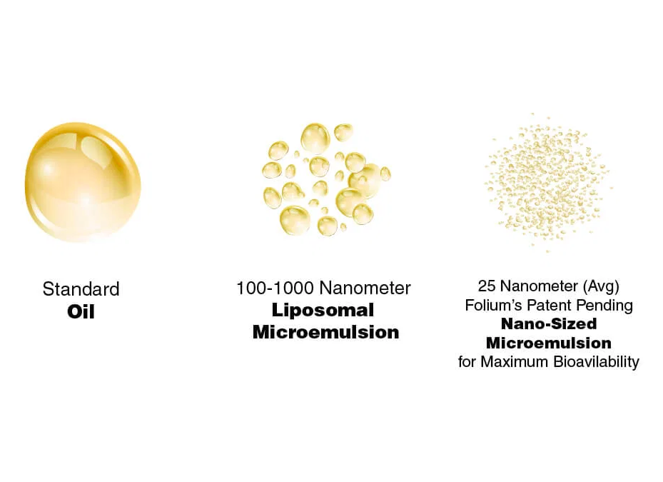 process of making nanoemulsion.